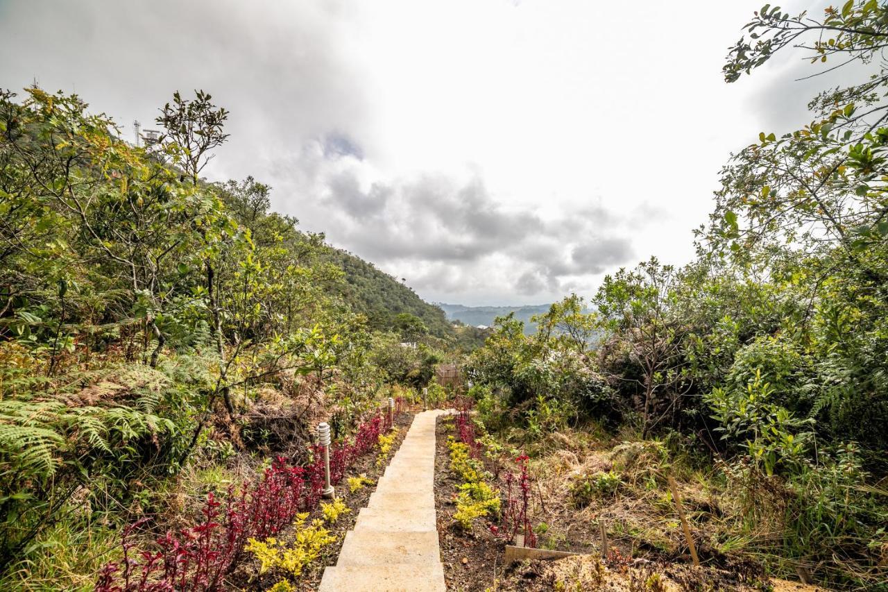 Cerro Verde Mirador Medellín Buitenkant foto